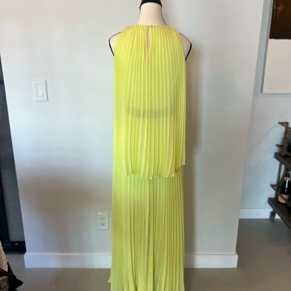 Bcbgmaxazria Shaina Sleeveless Pleated Gown - Picture 4 of 14